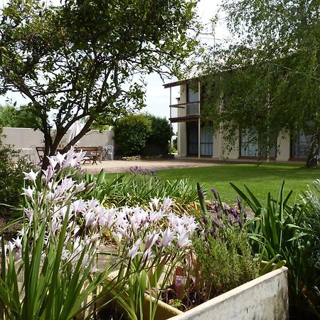 Coonawarra Motor Lodge Penola Εξωτερικό φωτογραφία
