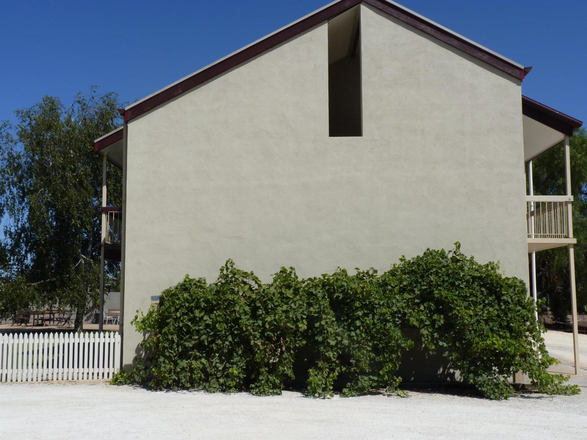 Coonawarra Motor Lodge Penola Εξωτερικό φωτογραφία