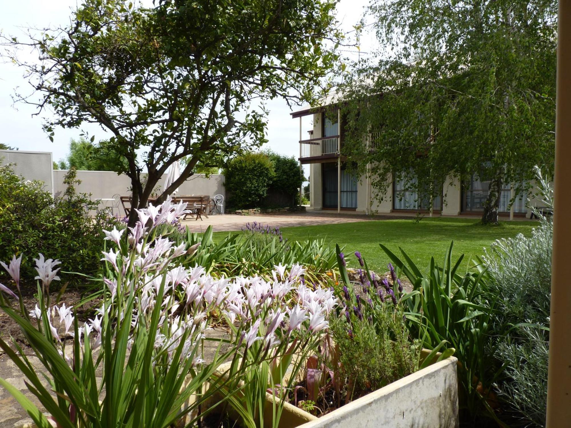 Coonawarra Motor Lodge Penola Εξωτερικό φωτογραφία