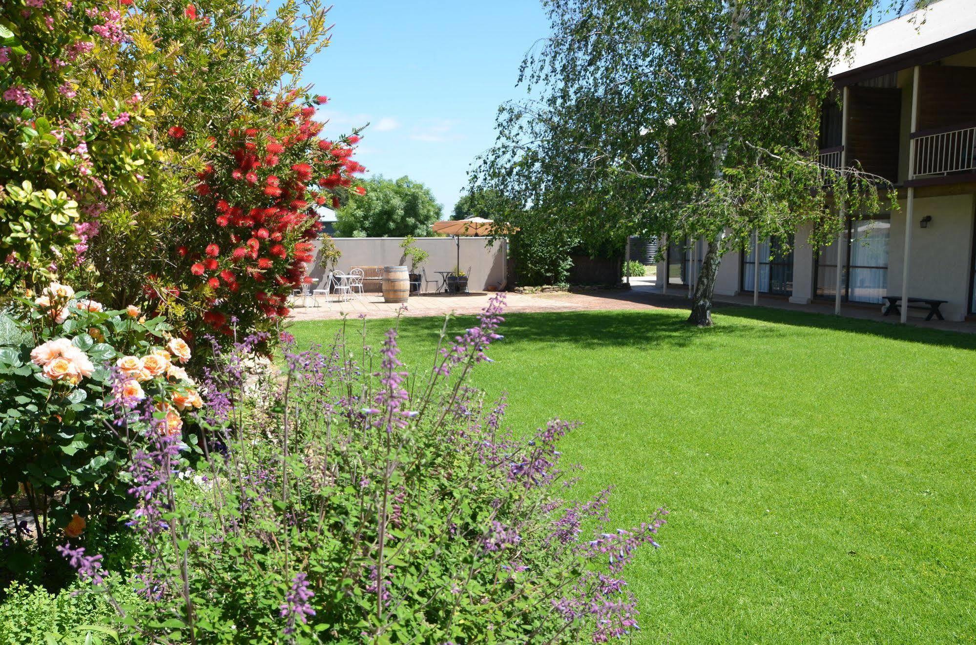 Coonawarra Motor Lodge Penola Εξωτερικό φωτογραφία